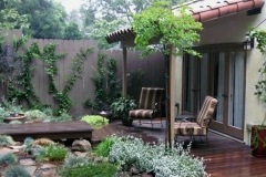 lush landscape