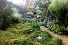 lush garden